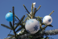 advent10