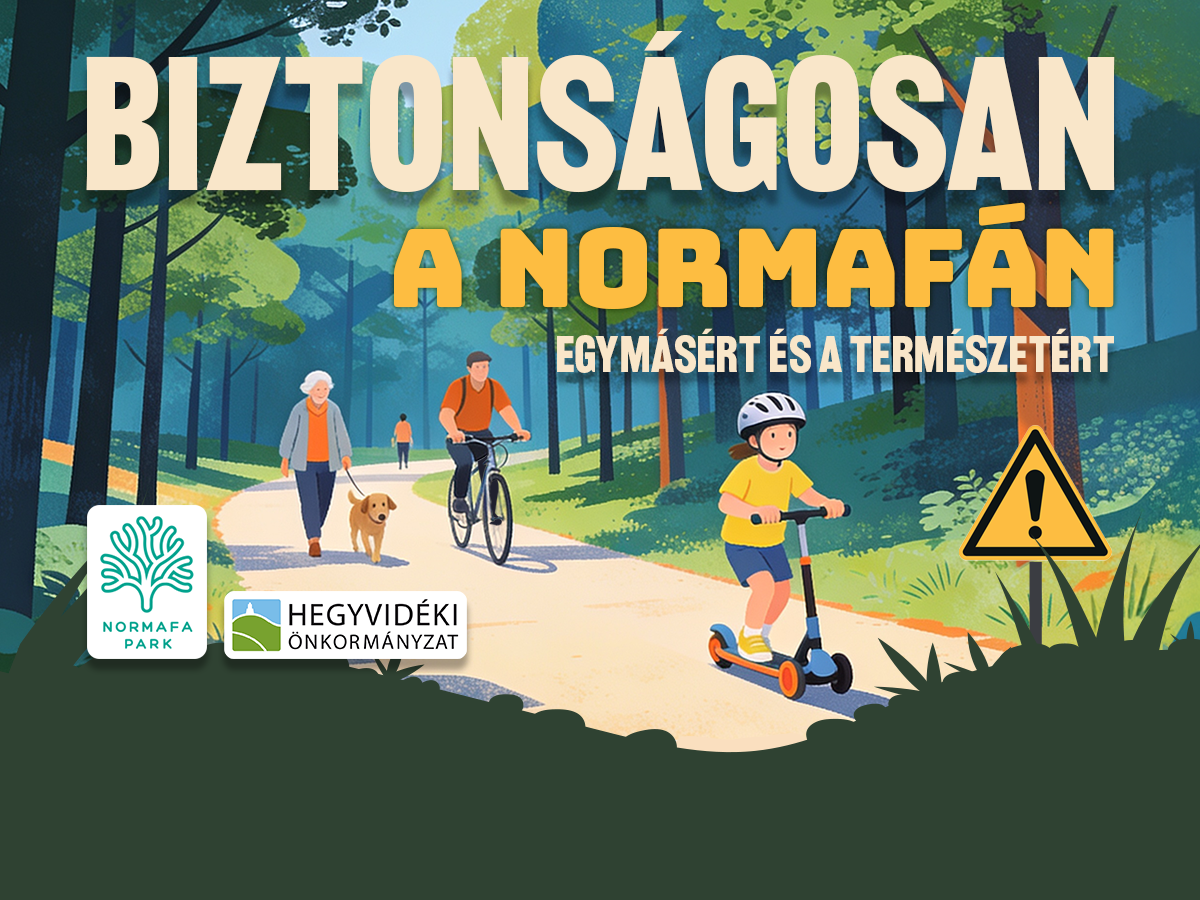 Biztonságosan a Normafán